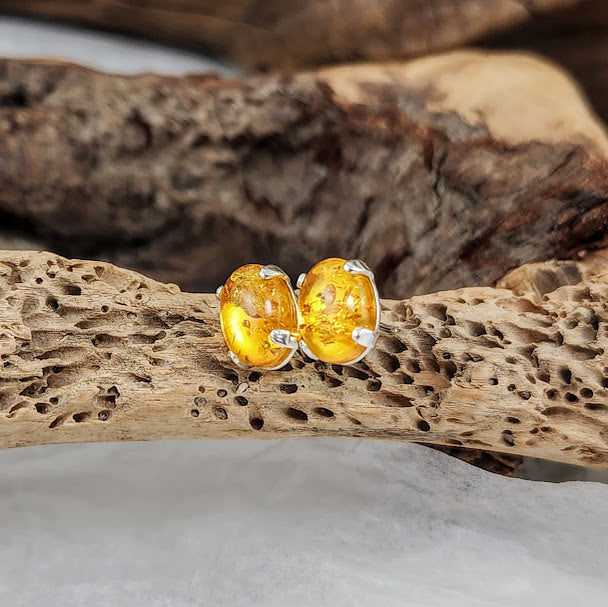 Stone Studs in Silver - Larimar, Baltic Amber, Denim Lapis and Kyocera Opal