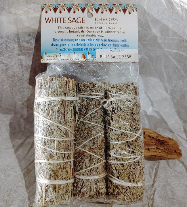 Blue sage, aka Grandmother Sage - 3 pack